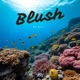 Blush Single