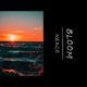 Bloom Single