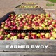Farmer Boy feat DJ Anti Biotix Single