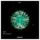 Send the Signal Single