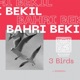 3 Birds Single