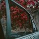 Uber feat Salasa Single