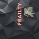 Frailty feat Sergiu Dan Muresan Single