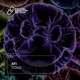 Toxic Single