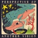 Perspective Of Another Vision Single