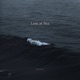 Lost at Sea Single