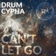 Can t Let Go Single
