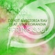 Spring Soul feat Vika Romanova Single