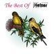 The Best of Hefner