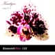 Basswerk Files 028 Orchid EP