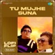 Tu Mujhe Suna LoFi Flip Single
