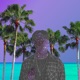 Venus Single