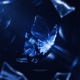 fragmented Single