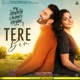 Tere Bin From Tu Hovein Main Hovan Single
