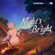Night s Bright From Punishing Gray Raven Where Nightmares Dwell