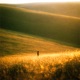 Empty hands Single
