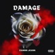 Damage Single