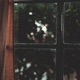 Sweet Rainy Day Single