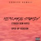Hips Real Sturdy Touch Dem Hips Sped Up Version Single