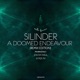 A Doomed Endeavour Remix Edition Single