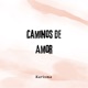 Caminos de Amor Single