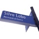Silva Lobo feat Bernardi Fontvs Single