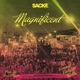 Magnificent Single