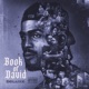 Book of David Deluxe