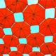 Umbrella Single