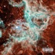 Genesis feat LeekoSav Single