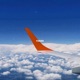 Fliegen Single