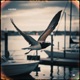 Albatroz 2024 Remastered Single