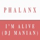 I m Alive Remixes Single