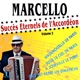 Succès éternels de l accordéon vol 2
