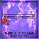 Terminos y Condiciones feat Zelman Lumi Alux Single
