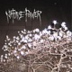 Nature Power