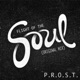 Flight of the Soul Single
