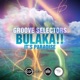 Bulaka It s a Paradise Single