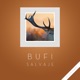 Salvaje Single