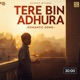 Tere Bina Adhura Single