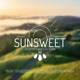 Sunsweet 012 Downtempo Organic House DJ Set DJ Mix