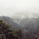 Wanderer Single