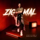 Zig Mal Single