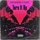 Turn It Up feat Tash Single