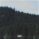 Calm Single
