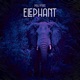 Elephant Single