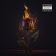 The Trip Single