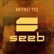 Intro to Seeb EP