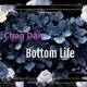 Bottom Life Single