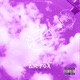 Air Fox Single